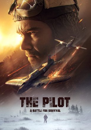 Capa do filme: O piloto - A batalha pela sobrevivência