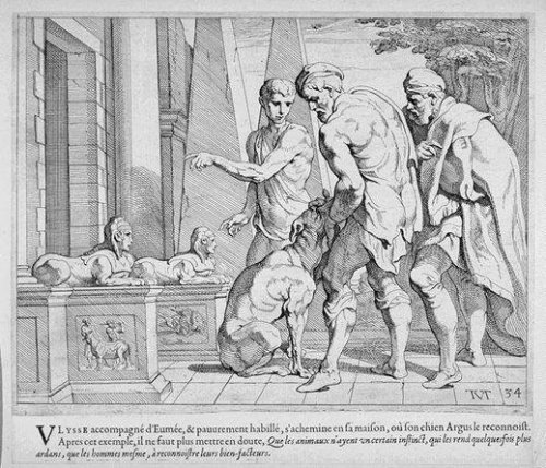 Argos reconhece Ulisses. Desenho do século 17 de autoria de Theodor van Thulden.