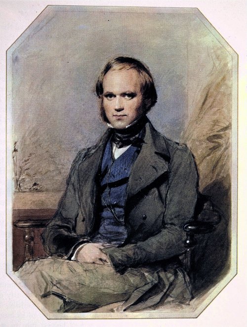 Retrato de Charles Darwin pintado em 1840 pelo artista George Richmond. Na imagem Darwin tinha cerca de 31 anos, e foi realizada antes da sua viagem no HMS Beagle.